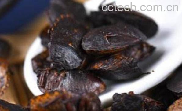 九香虫怎么吃 吃九香虫的好处和功效-0