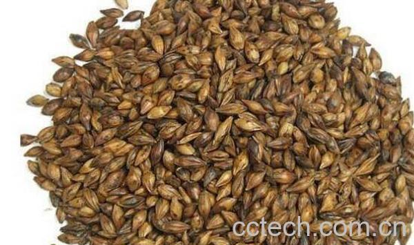 焦麦芽的功效与作用-0