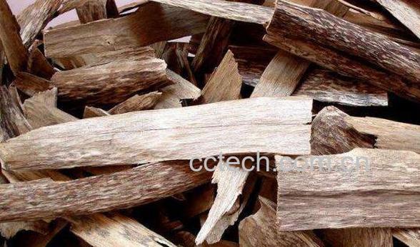 沉香片的作用和功效-0