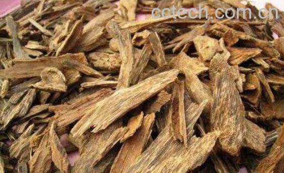 沉香片的作用和功效-1