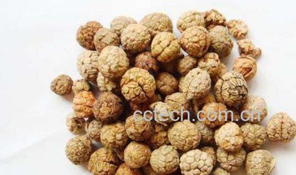 草豆蔻与草果仁的区别-1