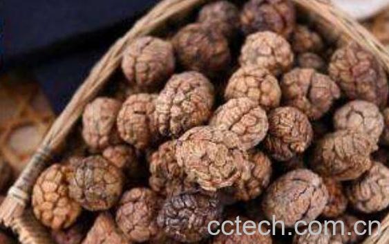 草果仁的功效与作用-0