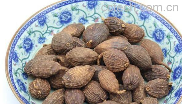 草果仁的功效与作用-1