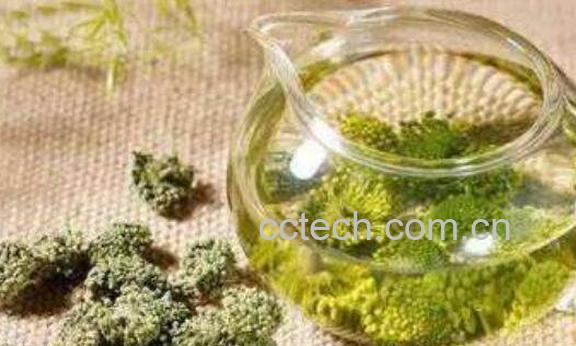 三七花泡水喝的功效与禁忌-1