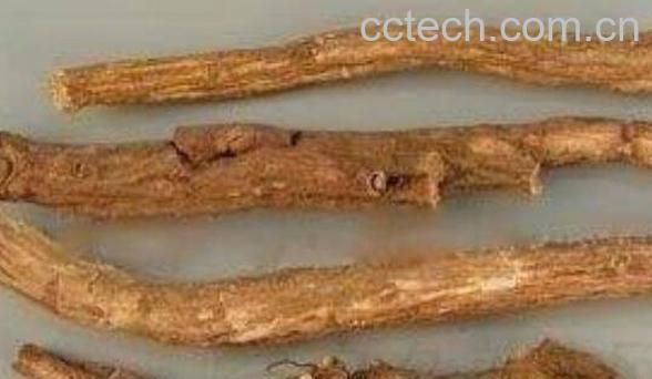 丹皮的功效与作用及药用价值-1