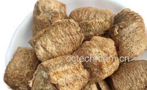 炒桑螵蛸的功效与作用-1