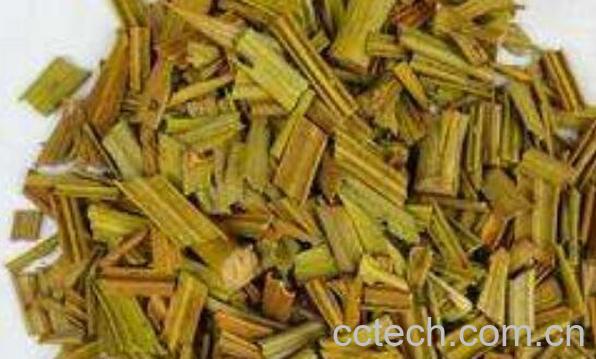 铁树叶煮水有什么用 铁树叶泡水喝会中毒吗-0