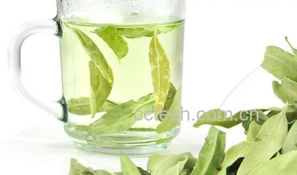 罗布麻叶能泡水喝吗 罗布麻叶泡水喝方法-0