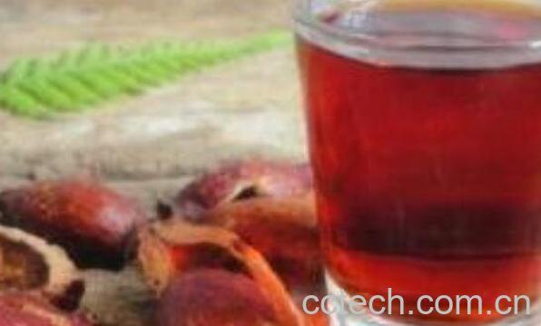 金樱子酒的功效与作用 金樱子泡酒有什么功效-1