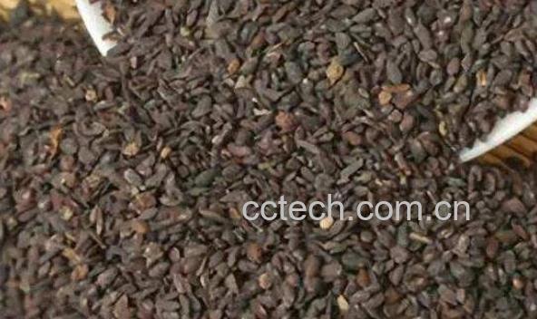 车前子怎么泡酒 车前子泡酒起什么作用-1