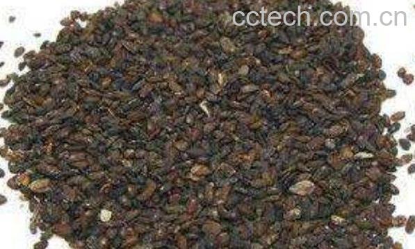 车前子壳的功效与作用 车前子壳的副作用-1