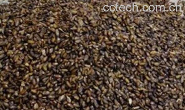 车前子壳粉的食用方法 吃车前子壳粉的好处-1