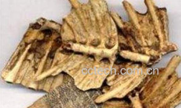 鳖甲粉的功效与作用 鳖甲粉的副作用-0