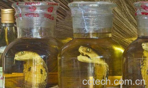 蛇泡酒有什么功效 蛇泡酒的功效与作用-0