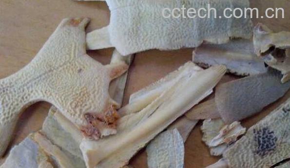 醋鳖甲的功效与作用及药用价值-1