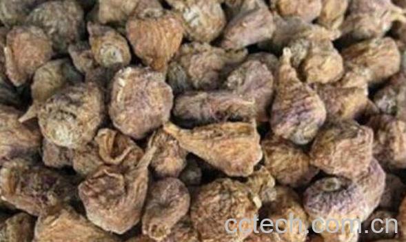 中药山慈姑的功效与作用-1