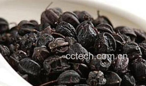  刺五加籽泡酒的功效与作用-1