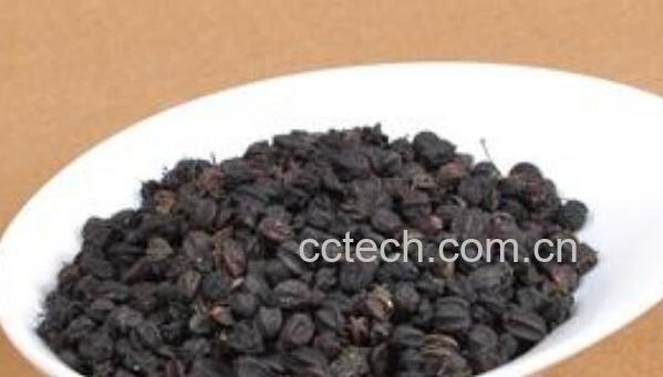  刺五加籽泡酒的功效与作用-0