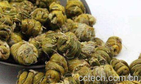 黄皮石斛的功效与作用-0