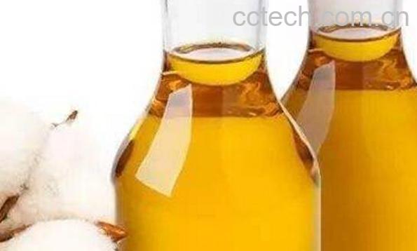 红花籽油的功效与作用-1