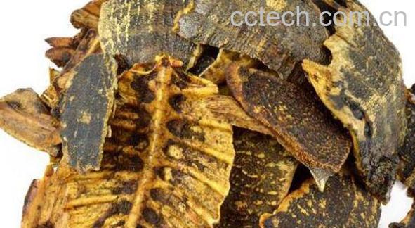 中药鳖甲的功效与作用-1