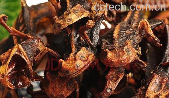 海狗泡酒的功效与作用-1