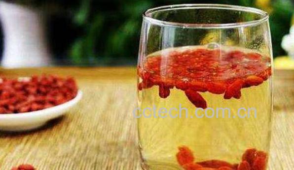 枸杞子泡水喝的功效有哪些-1