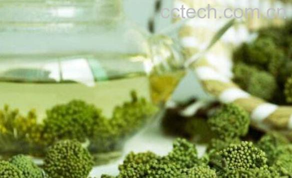 三七花泡水喝的功效 三七花泡水喝的禁忌-1