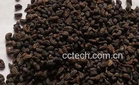 女贞子泡水喝的功效 女贞子泡水喝的禁忌-1