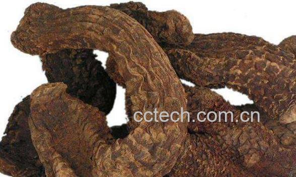 酒苁蓉的功效与作用-1