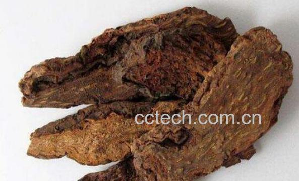 锁阳怎么泡酒 锁阳泡酒的配方和教程-1