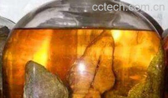 人参蛤蚧酒的功效与作用-1