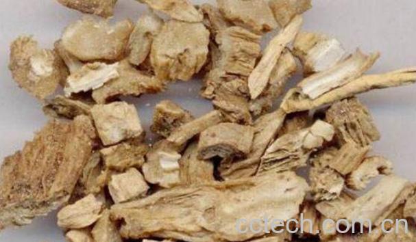 百部的功效与作用及药用价值-0