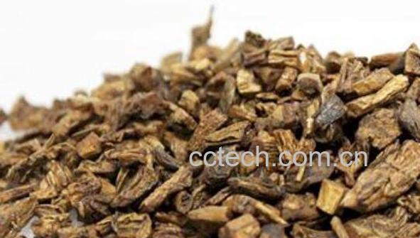 百部的功效与作用及药用价值-1