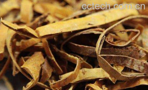 瓜萎皮的功效与作用及药用价值-1