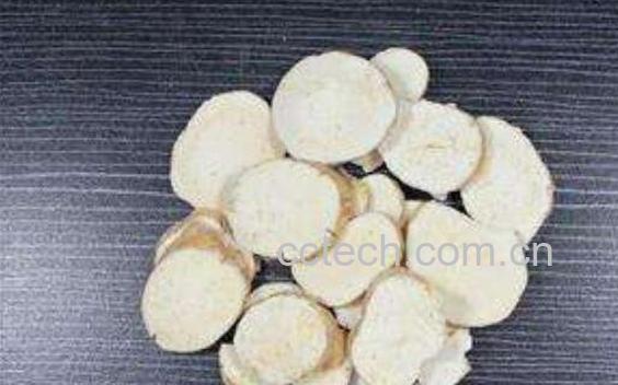 天花粉的功效与作用 天花粉的药用价值-0