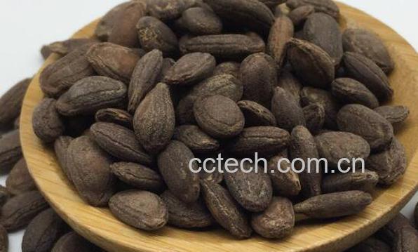 瓜蒌子与吊瓜子的区别 瓜蒌子的功效与作用-0