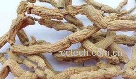  巴戟天泡水喝的功效与作用-1