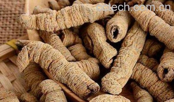  巴戟天泡水喝的功效与作用-0