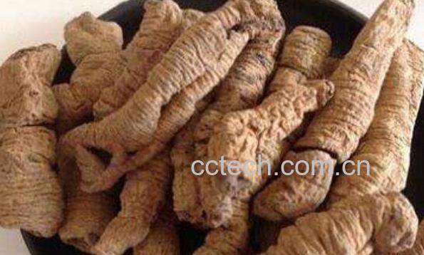 巴戟天和什么一起泡酒 巴戟天泡酒的功效-0