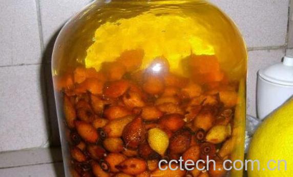 金樱子泡酒如何泡 金樱子泡酒最佳方法-0
