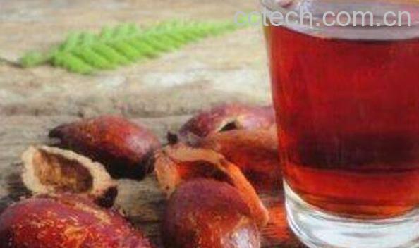 金樱子泡酒的步骤教程 金樱子泡酒要去籽吗-1