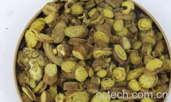 黄芹主要的功效和作用-1