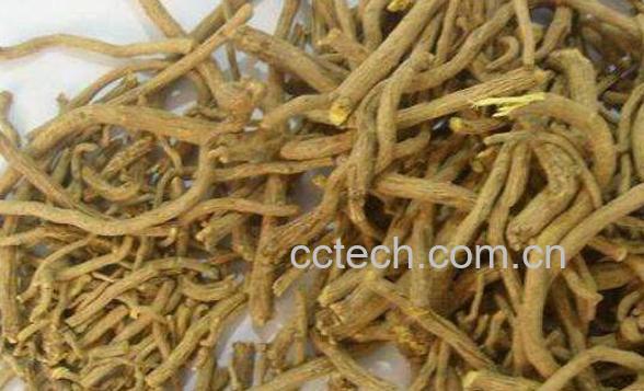 黄芹主要的功效和作用-0