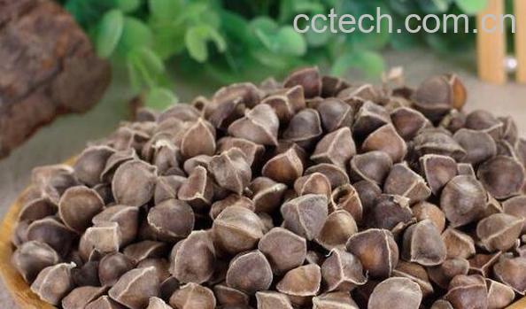 辣木籽的功效与作用 辣木籽怎么吃最好-1