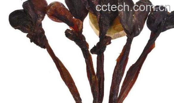 干驴鞭泡酒怎么处理味-1