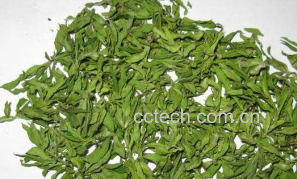 柳叶泡水喝有什么功效-0