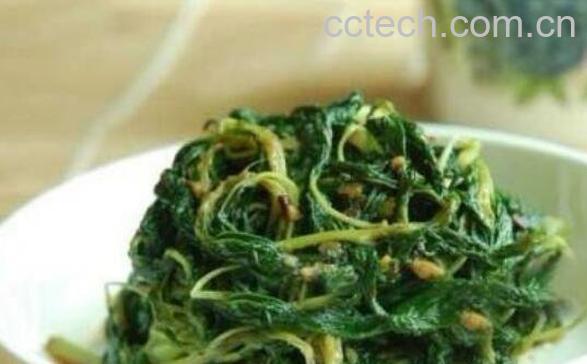 潮汕麻叶的功效与作用-1