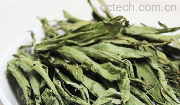 甜叶菊的功效与作用 甜叶菊不能与什么一起吃-1