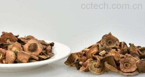 柿蒂如何泡水 柿蒂泡水有什么作用-1